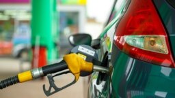 В целом изменения розничных цен на автомобильное топливо в мире практически повторяют динамику мировых цен на нефть. При этом отличия цен на бензин или дизельное топливо определяются не столько стоимостью нефтепереработки или транспортировки, сколько уровнем его налогообложения в той или иной стране.